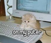 Image of a cat on a keyboard with the caption on my outer