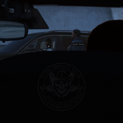 81