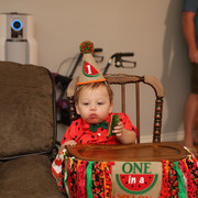 IMG-7315