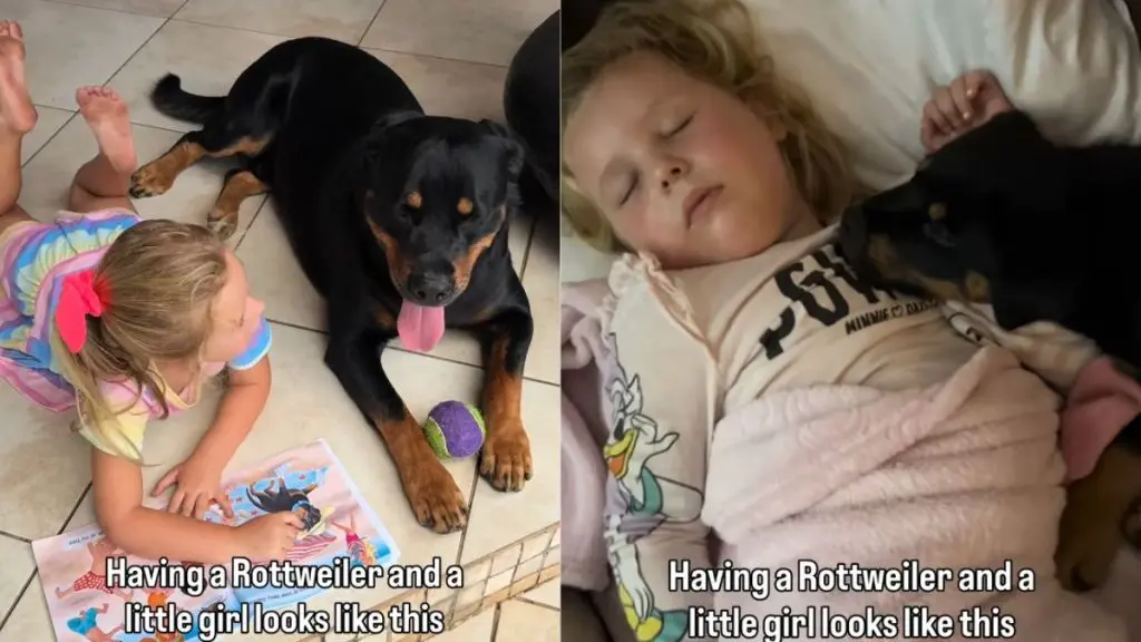 Unlikely Duo Forms Unbreakable Bond
