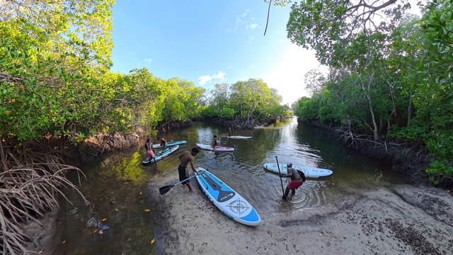 Paddle Experience