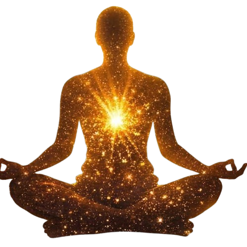 yogi