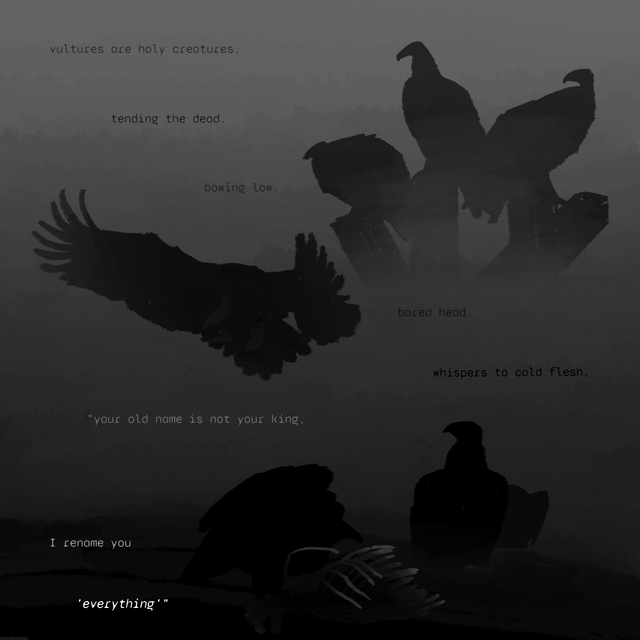 vultures
