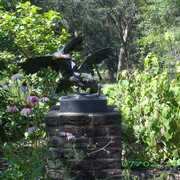IMGP2784