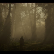 925264656609346985rdr2a083.jpg
