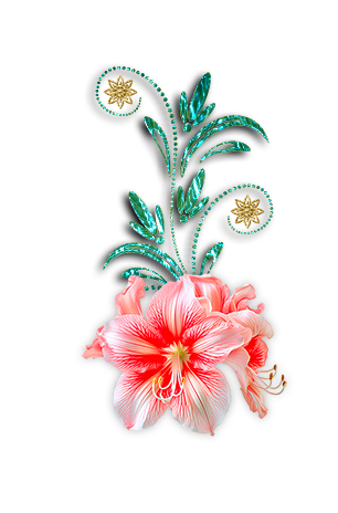 IMG 7013.png