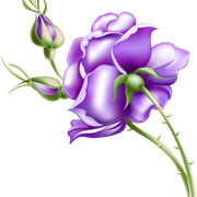 b88d8e20c1327fcd57b21bd115bbb3f9