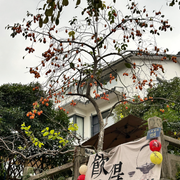 满觉陇9