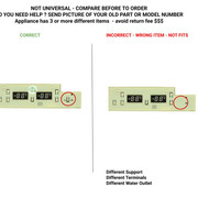 241739710 Correct incorrect