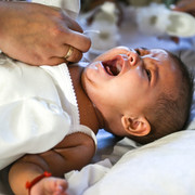 Pic 232