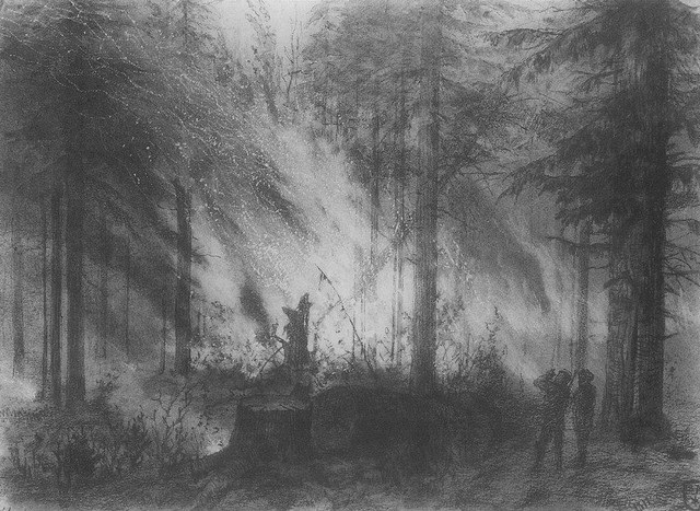 Пожар в сухой кобре 1870