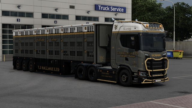 T.J Gold Trailer Skin