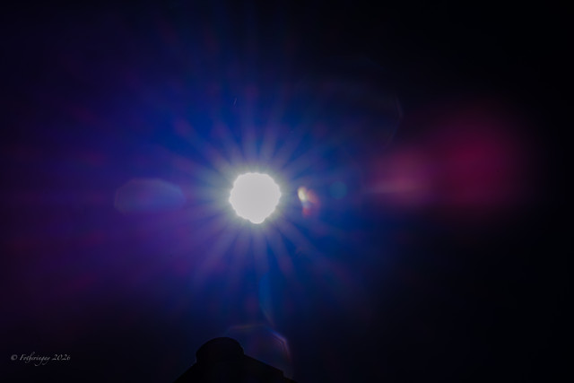 DSF6640.jpg