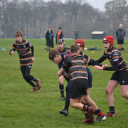 DSC 0996