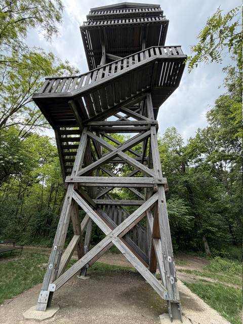IMG 2343.jpg