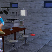 image310