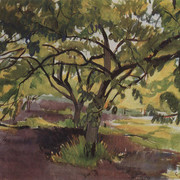 1908-1909