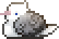 pigeon frilled GIF.gif