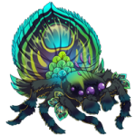 peacock spider familiar