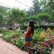 IMG 5031