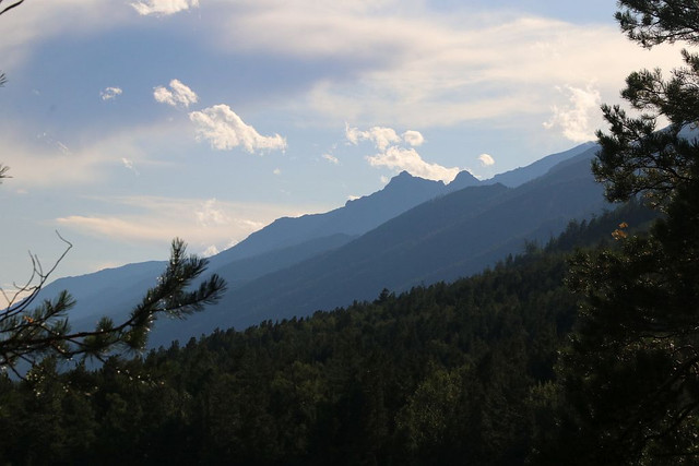 IMG 0313.jpg
