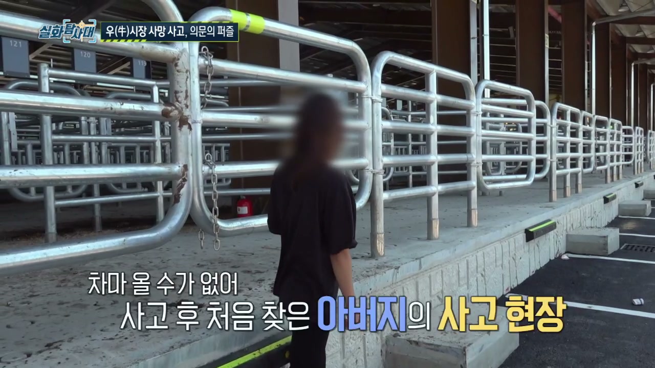 실화탐사대 장성 우시장 사망사고 추가 캡처 3