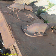 IMG-1493