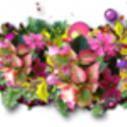 f4c5077b