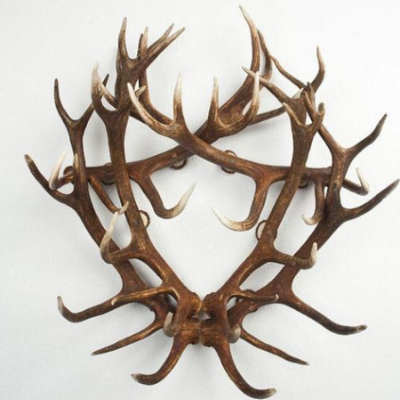 Antler-Furniture