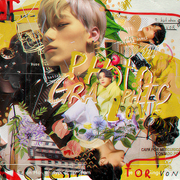 Photographic-Love.png