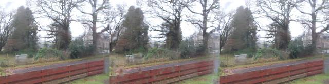 DSCF1419.jpg
