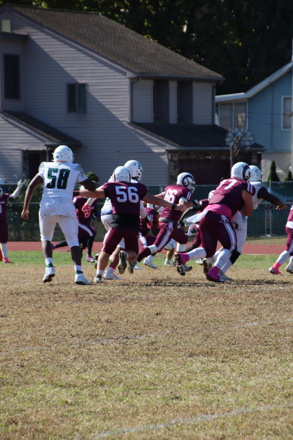 IMG-3545