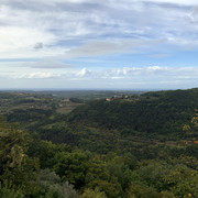 IMG-9489