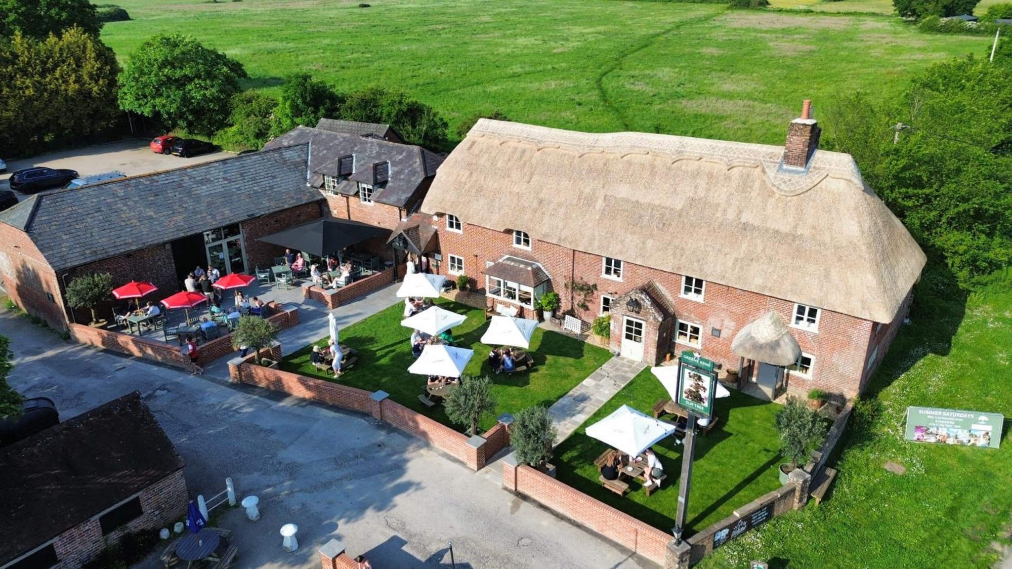 The Elm Tree