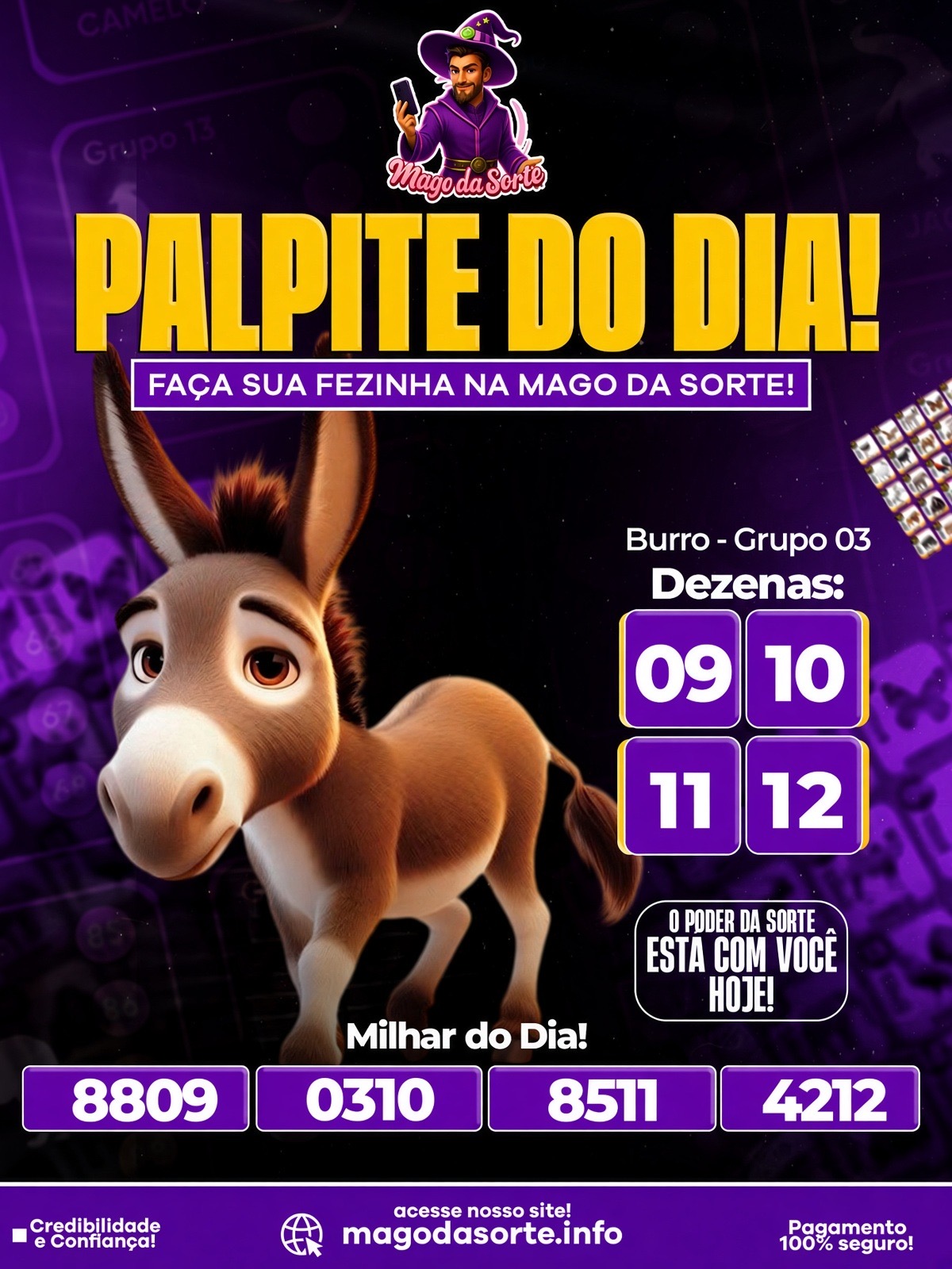 Palpites do Dia