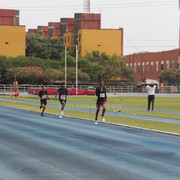 IMG-0245
