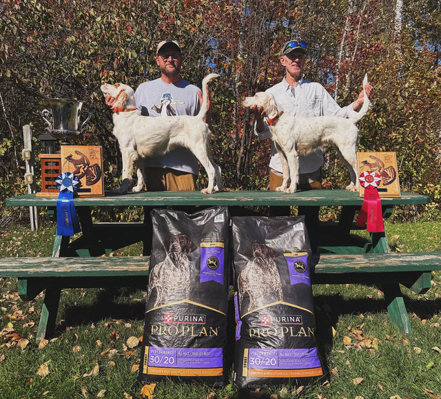 Fall Message For Bills Cover Dog Field Trial Message Board : MGDA 2026 Fall Championship results