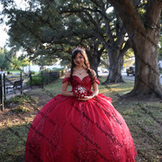 IMG 2254