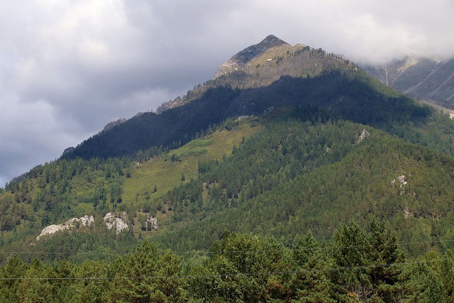 IMG 0495.jpg