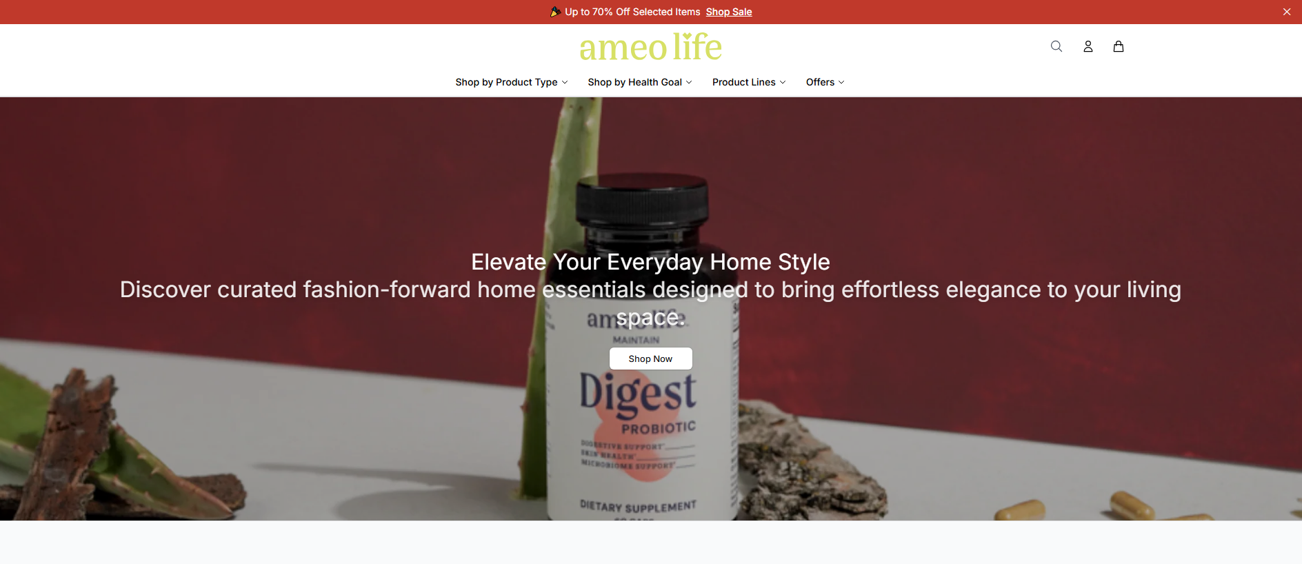 Stored capture of ameolifeonline.shop