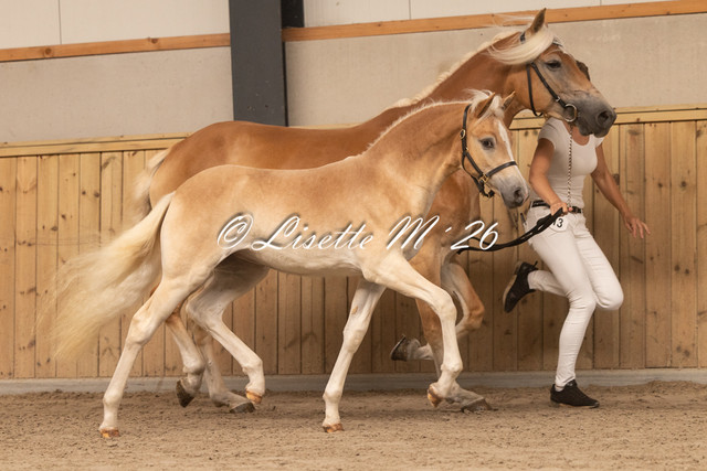 13 8