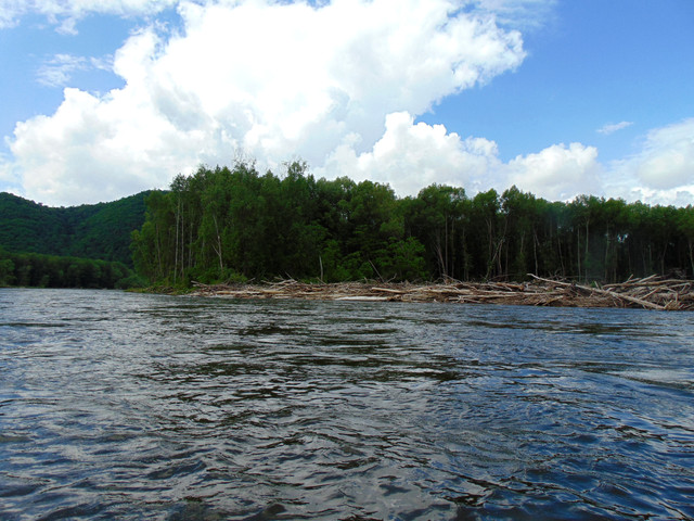 DSC04887.jpg