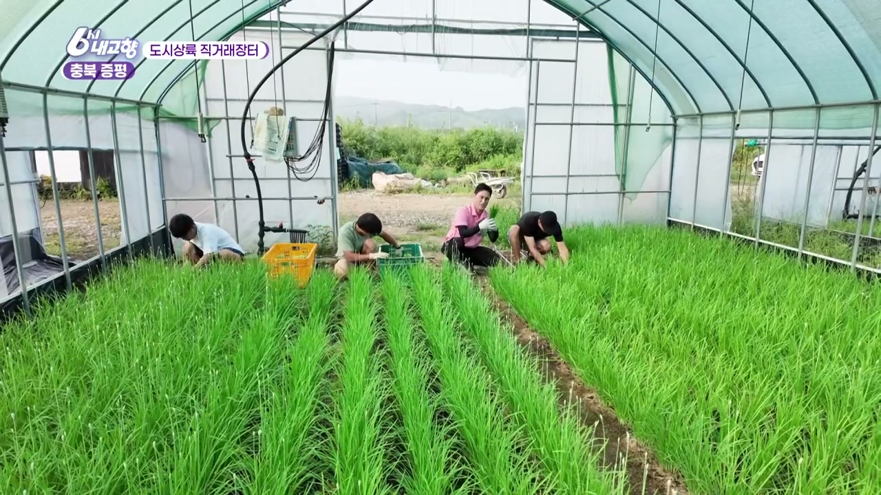 6시내고향 도시상륙 직거래장터 증평 부추 추가 캡처 3