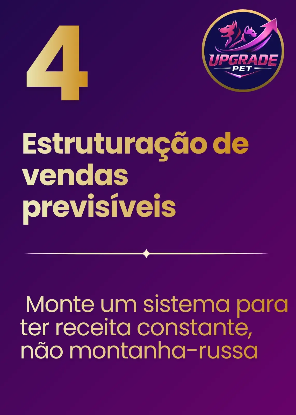 Imagem 4