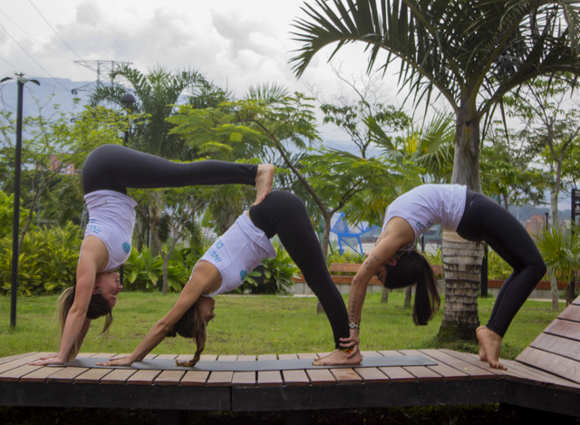 Formación de Yoga