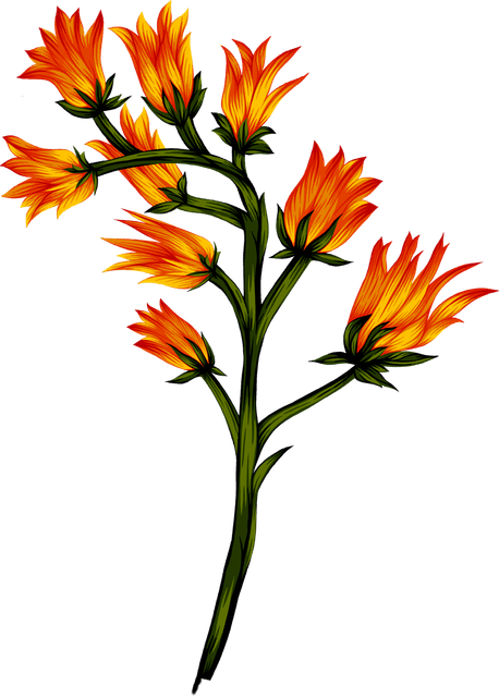 6ef4a152c585dec79f51ed69a8e5348c.png