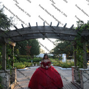 IMG 2650