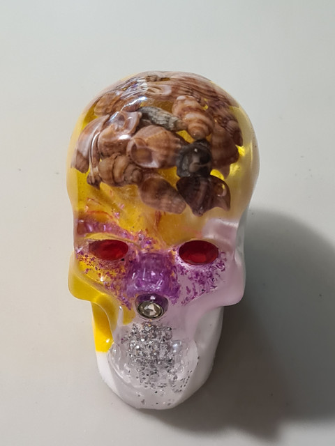 Череп 1 19