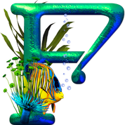 F 6