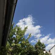 IMG 7454